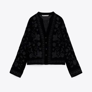 Zara Embroidered Velvet Blouse
